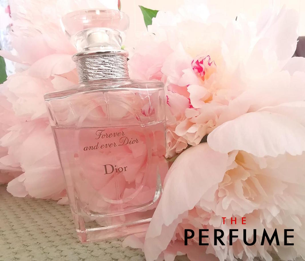 Shop Christian Dior Forever And Ever Perfume online  Lazadacomph